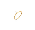 Anillo Aurora
