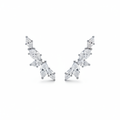 Pendientes trepadores plateados
